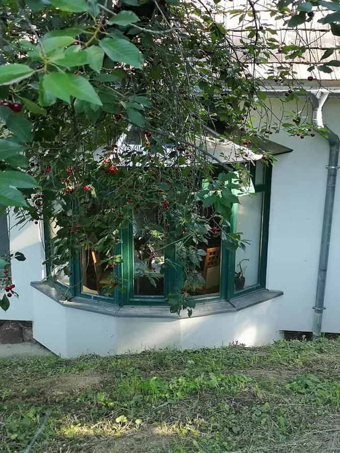 Kotcse Nyugalomszigetヴィラ エクステリア 写真